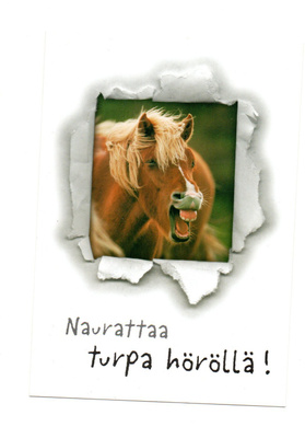 °°HEVONEN...Naurattaa°° -KORTTI /(Papron)