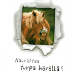 °°HEVONEN...Naurattaa°° -KORTTI /(Papron) - pikkukuva 1