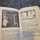 Tove Jansson Taikatalvi - pikkukuva 4