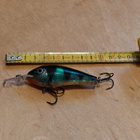 Rapala rattlin fat rap 7cm - pikkukuva 2