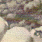 Purkkakuva SPACE COSMO 1999 Purukumikuva - pikkukuva 2