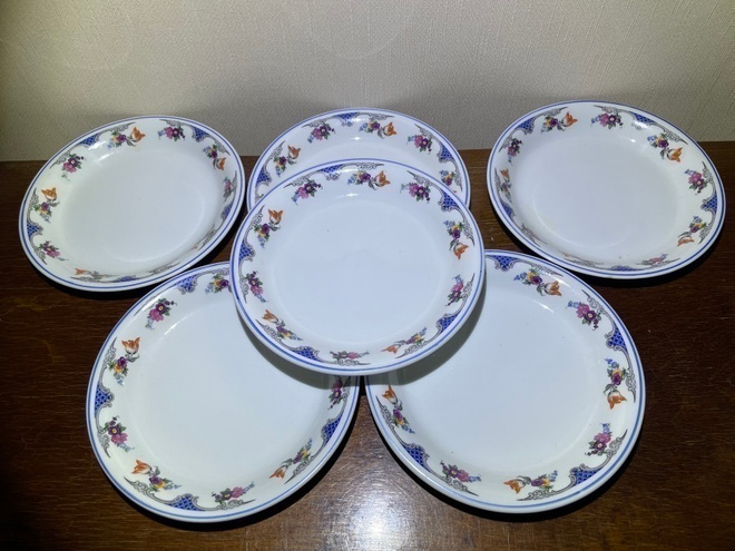 Arabia Dupini lautaset 16 cm 6 kpl