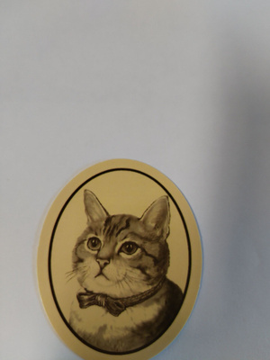 Kissa tarra.