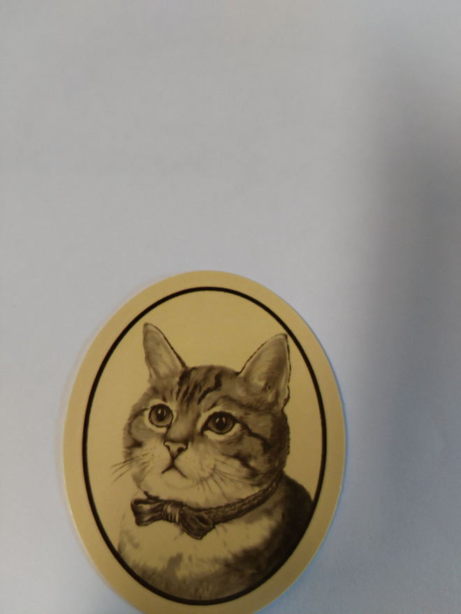 Kissa tarra.