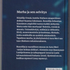 Ursula Anttila-Halinen: Runoilija ja vaarallinen muusa - pikkukuva 2