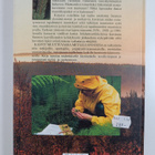Kasvit muuttuvassa metsäluonnossa - pikkukuva 2