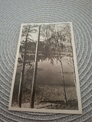 3Z Eerikkilä Tammelassa