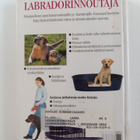 Labradorinnoutaja : omistajan opas - pikkukuva 2