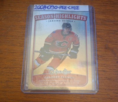2008-09 O-Pee-Chee Season -Highlights