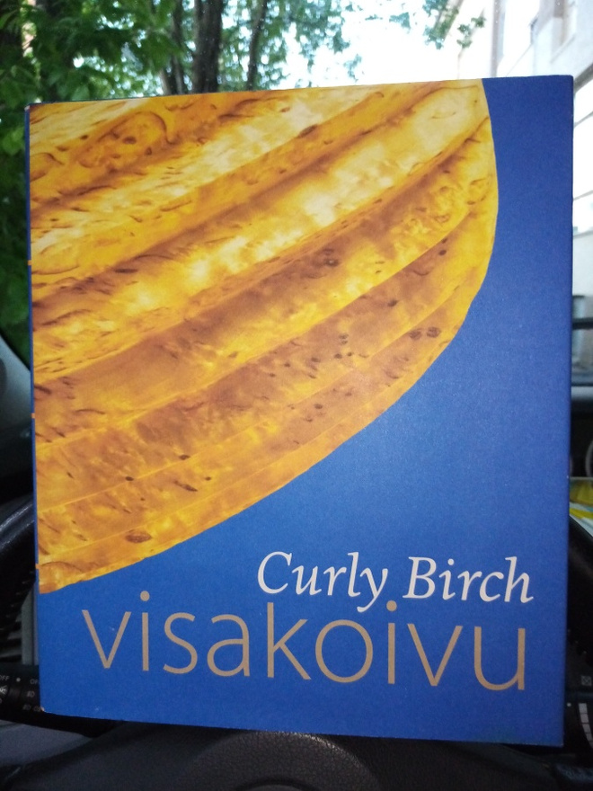 Curly birch -  Visakoivu ( SIS POSTIKULU)