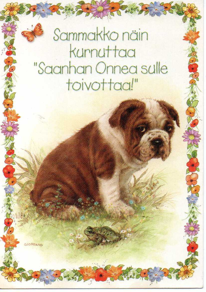 KULKEMATON ONNITTELUKORTTI  -  KARTO