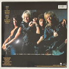 AEROSMITH : Pump - LP ( uusi ) - pikkukuva 2