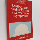 G. I. Barenblatt : Scaling, self-similarity, and intermed... - pikkukuva 1