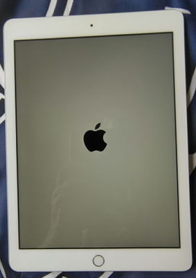 iPad 2 A1396