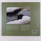 Sari Kanala : Saippa : saimaannorppa = the Saimaa ringed ... - pikkukuva 2