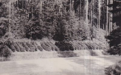 Punkaharju, e164