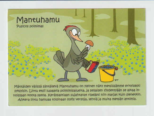 Postikortti, MARJASTAJA / SIENESTÄJÄ, , MANTUHAMU