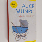 Alice Munro : Kallis elämä : kertomuksia - pikkukuva 1