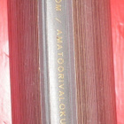 K. O. Sjöström : Amatöörivalokuvaaja  v. 1952 2.p. - pikkukuva 3