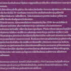 Anneli Lähdesmäki: Pitsihuvila - pikkukuva 3