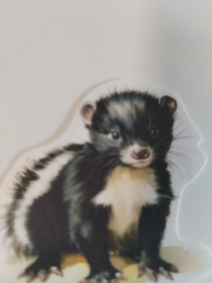 Söpö tarra.