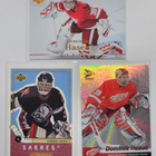 Dominik Hasek Jääkiekkokortit 3in1 - pikkukuva 1