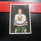 K15 Jenkki Jääkiekko-sarja # 121 Tauno Niemi Ilves - pikkukuva 1
