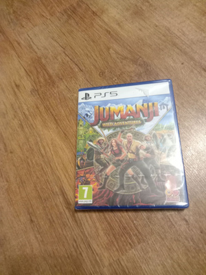 Jumanji the wild adventures