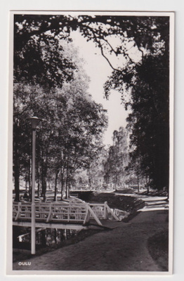 Oulu: Puisto