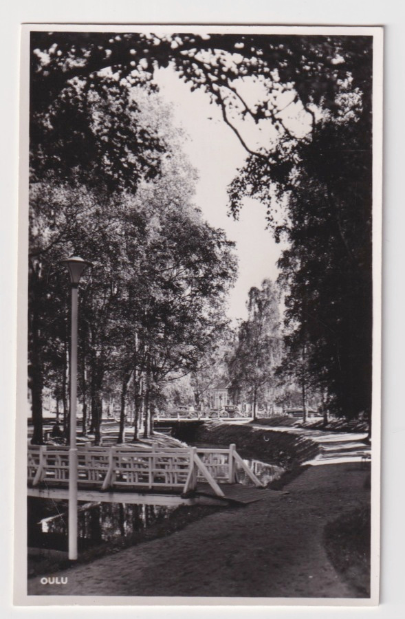 Oulu: Puisto