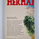 Hermann Hesse : Katoava kesä : kertomuksia - pikkukuva 2