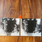 Lou Reed - The Raven 2 x cd - pikkukuva 3