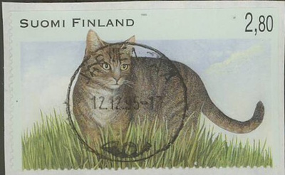 1995 maalaiskissa   loisto