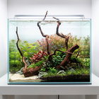 Uniikki akvaariojuurakko 62 cm | P012620 - pikkukuva 2