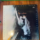 The Boomtown Rats - The Boomtown Rats lp - pikkukuva 1