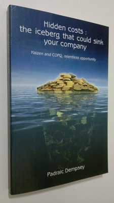 Padraic Dempsey : Hidden Costs : The iceberg that could s...