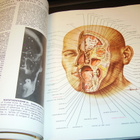 Lopez-Antunez : The Atlas of Human Anatomy ( 1 p. 1971 USA) - pikkukuva 2