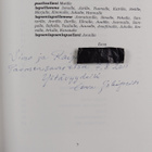 Eeva Jokipelto : Vuodet vierivät : runoja (signeerattu, t... - pikkukuva 3