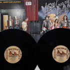 LEEVI AND THE LEAVINGS, Menestyksen Salaisuus 2xLP - pikkukuva 4
