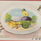 Tiput ja munakärry - kulk v 1929 - pikkukuva 1