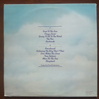 The Ozark Mountain Daredevils - Don't Look Down (LP) - pikkukuva 2