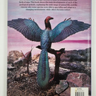 Ellis Owen : Prehistoric animals : Extraordinary story of... - pikkukuva 2