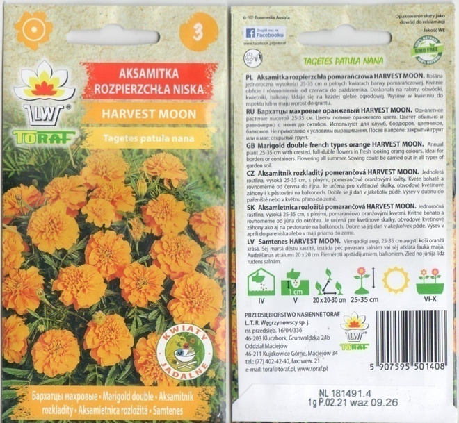 Ryhmäsamettikukka "Harvest Moon" siemenet #