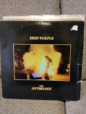Deep purple Anthonogy