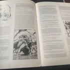 Serie Focus 3 - Barry Windsor-Smith 1976 - pikkukuva 3
