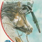 Sharon Siamon: Rodeohevonen - pikkukuva 1