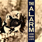 The Alarm - Electric Folklore Live - pikkukuva 1