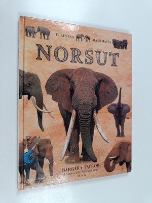 Barbara Taylor : Norsut