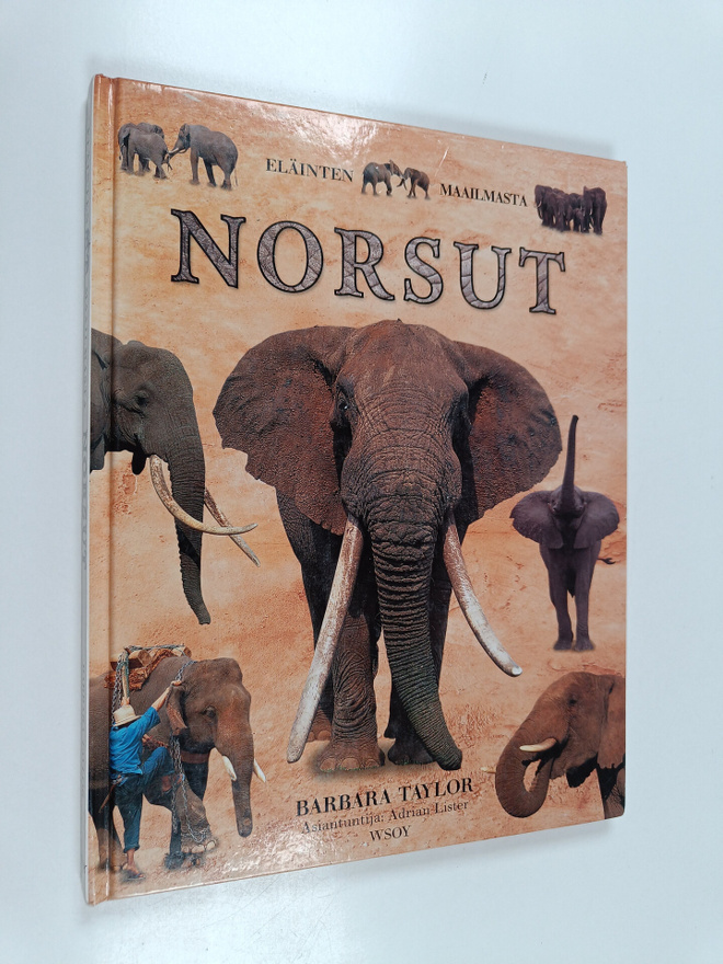 Barbara Taylor : Norsut