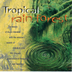 Anton Hughes - Tropical Rain Forest (CD)